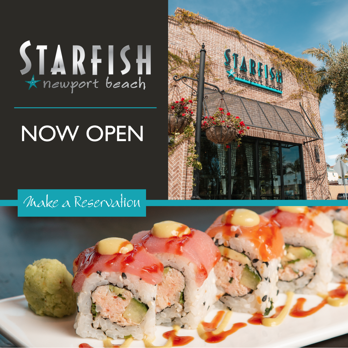 star fish Now Open